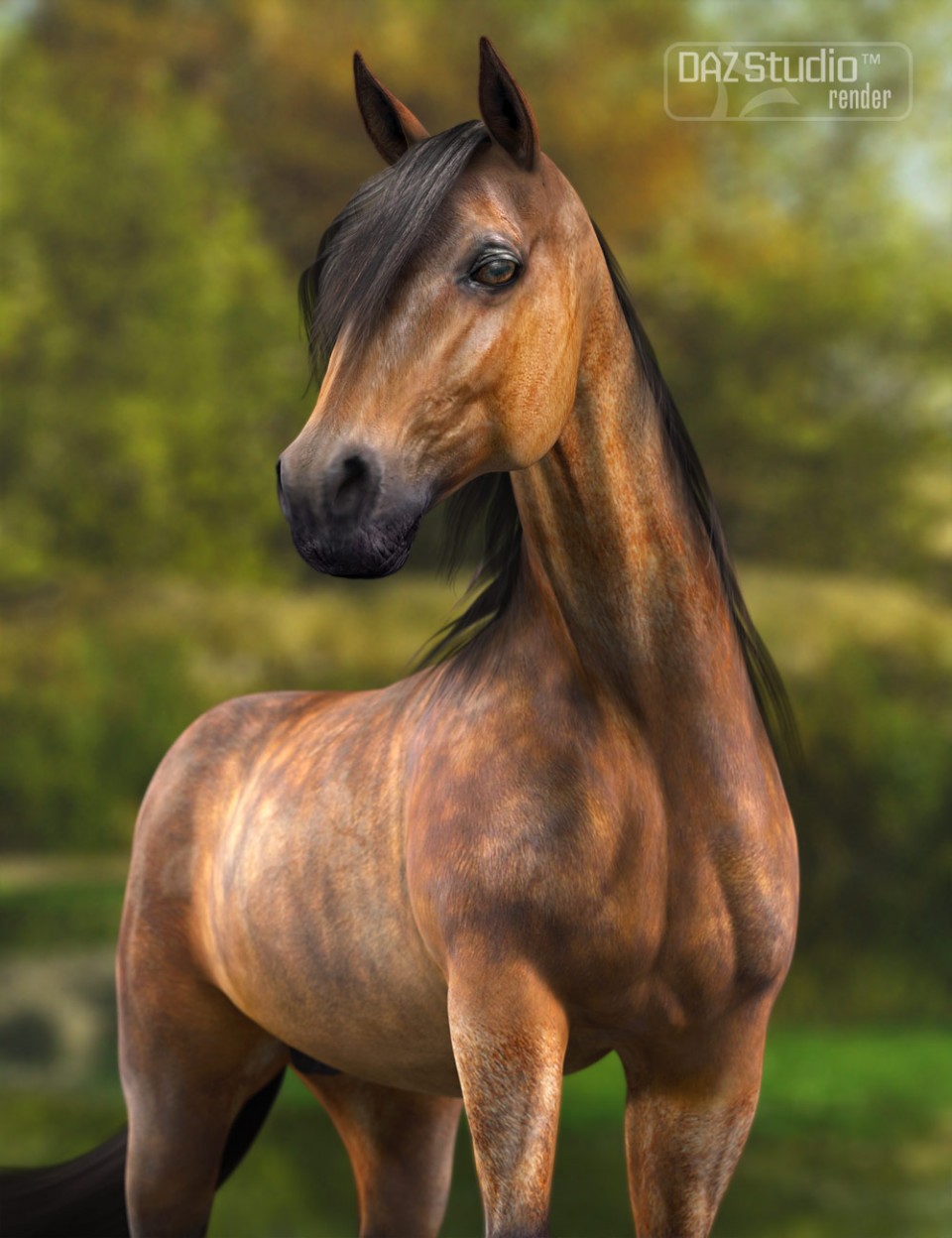DAZ Horse 2