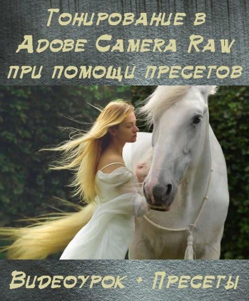 Тонирование в Adobe Camera Raw при помощи пресетов (2018) PCRec