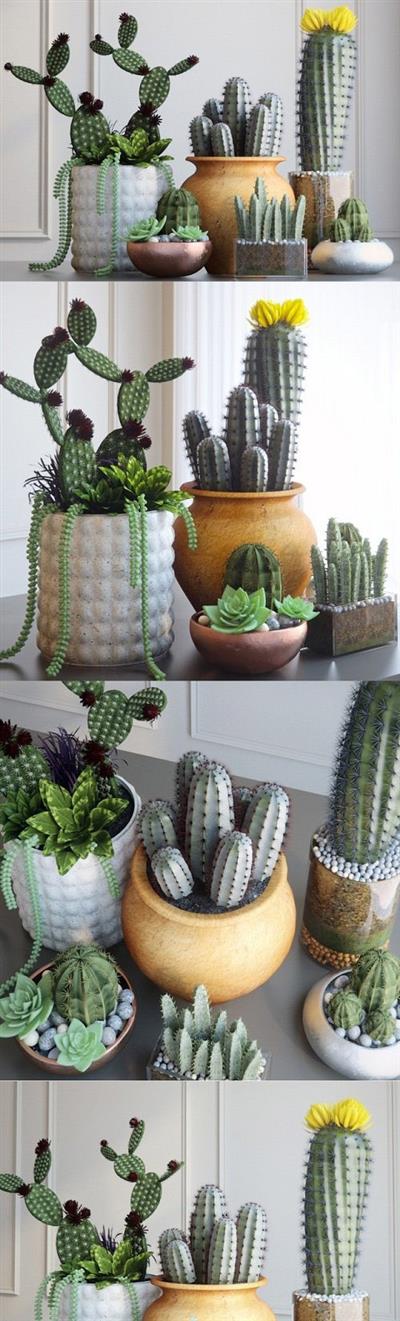 Set with Cactuses 3d Models