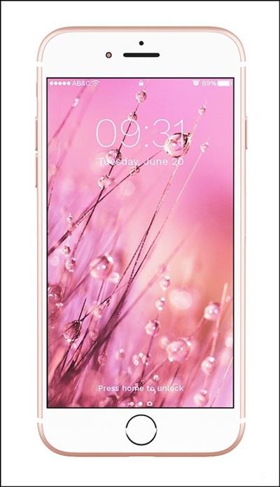 iPhone Plus Gold Pink