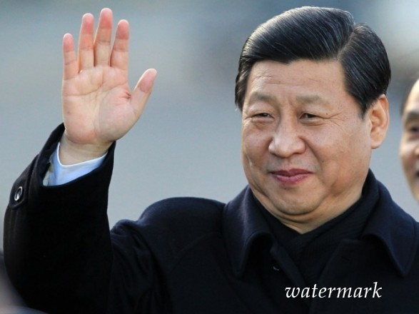 Си Цзиньпин призвал лидеров царств БРИКС противостоять протекционизму