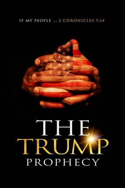 The Trump Prophecy 2018 AMZN WEB-DL AAC2 0 H 264-NTG
