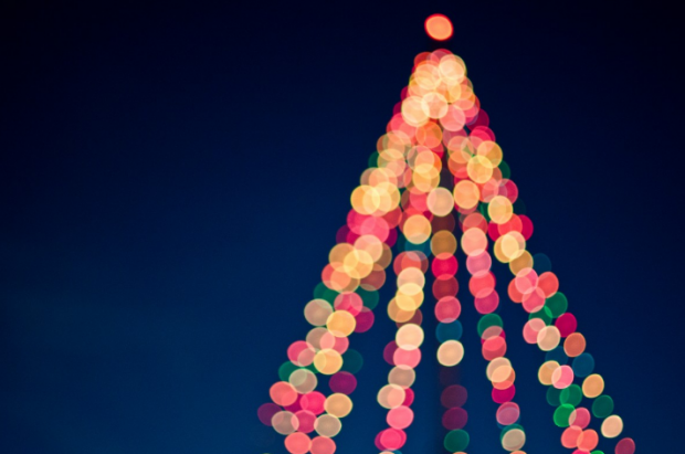 Синдром новогодней елки – вредное для здоровья явление: как себя обезопасить