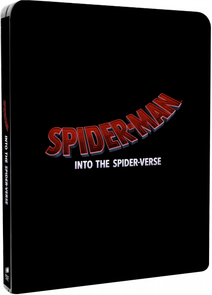 Spider-Man Into the Spider-Verse 2018 720p NEW HQ DVDScr HQ Line Audios x264-TR