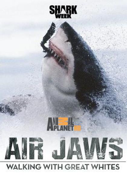  .     / Air Jaws. Walking With Great Whites (2015) HDTV 1080i