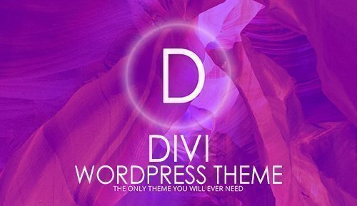 Divi v3.19.2 - WordPress Theme - ElegantThemes + Divi Plugins + Divi Layout + Divi PSD Files