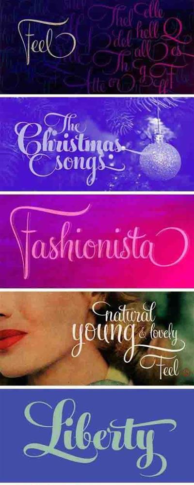 Feel Script Font Family (update - added new weights)