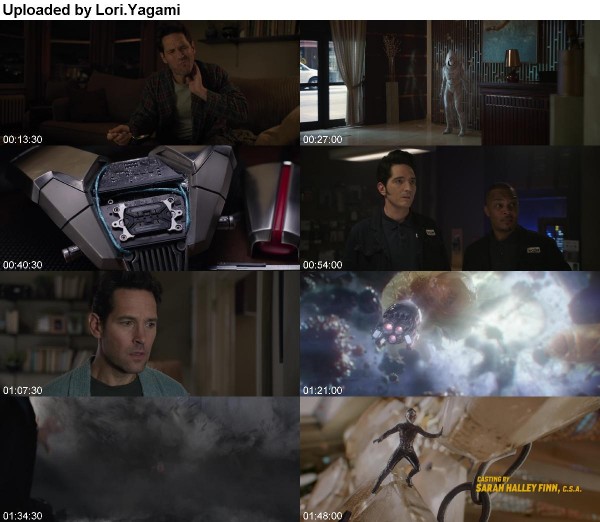 Ant-Man and The Wasp 2018 REPACK 1080p BluRay DTS x264-TayTO