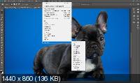 Redfield Plugins Bundle 2007-2019 for Adobe Photoshop (01.2019)