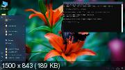 Windows 10 Pro VL RS5 1809.17763.253 x64 G.M.A. v.09.01.19